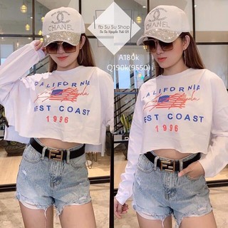 Áo Nữ Crotop California ( ÁO Hót teen )