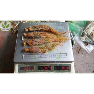 Sâm dâu (100g)