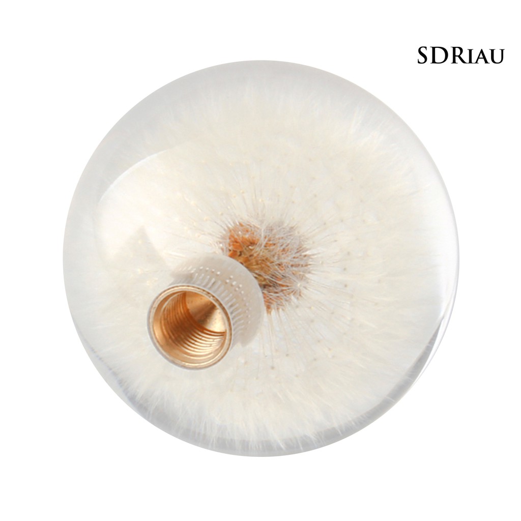 Tay Nắm Cần Số Xe Hơi Hình Hoa Bồ Công Anh Độc Đáo