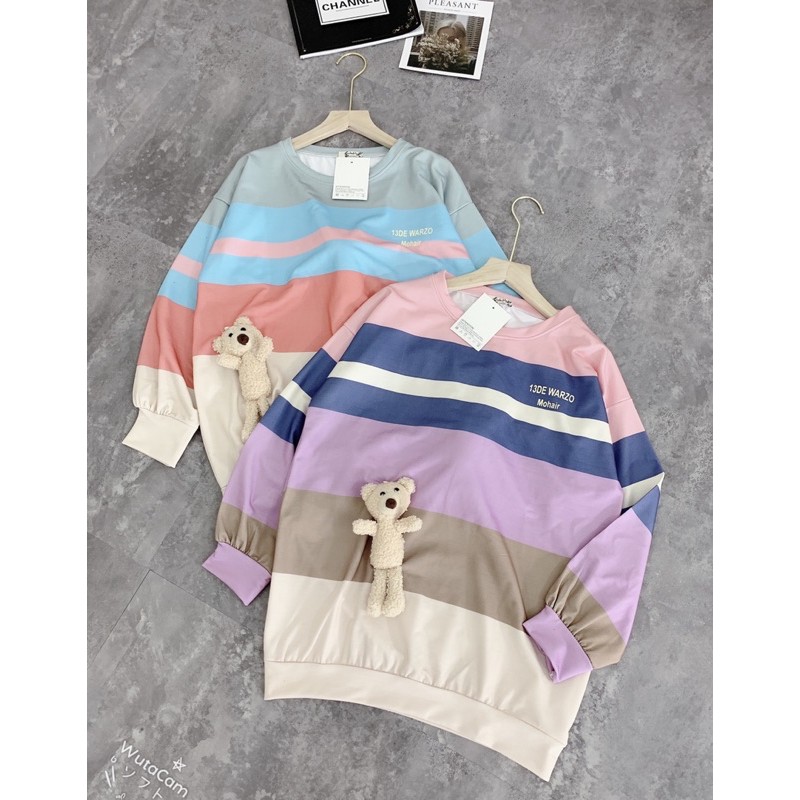 Áo nỉ Gấu Phối màu