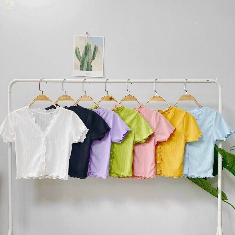 áo crtop viền bèo