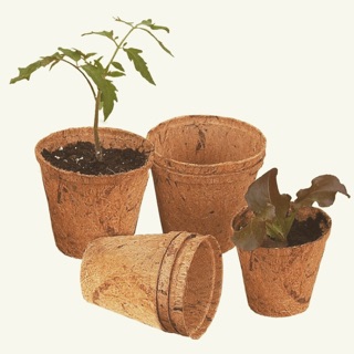 Chậu xơ dừa - Miệng 12cm