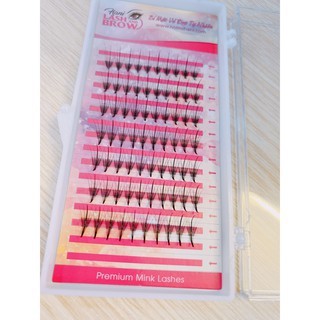 Lông Mi Trụ Katun - Mi Wispy 5D 007 C D - Mi Fan Sẵn Katun