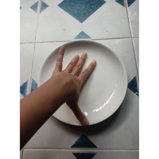 Dĩa gốm sứ tráng men size trung