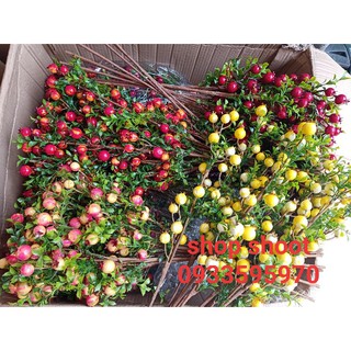 CÀNH LỰU TÀI LỘC CHƯNG TẾT