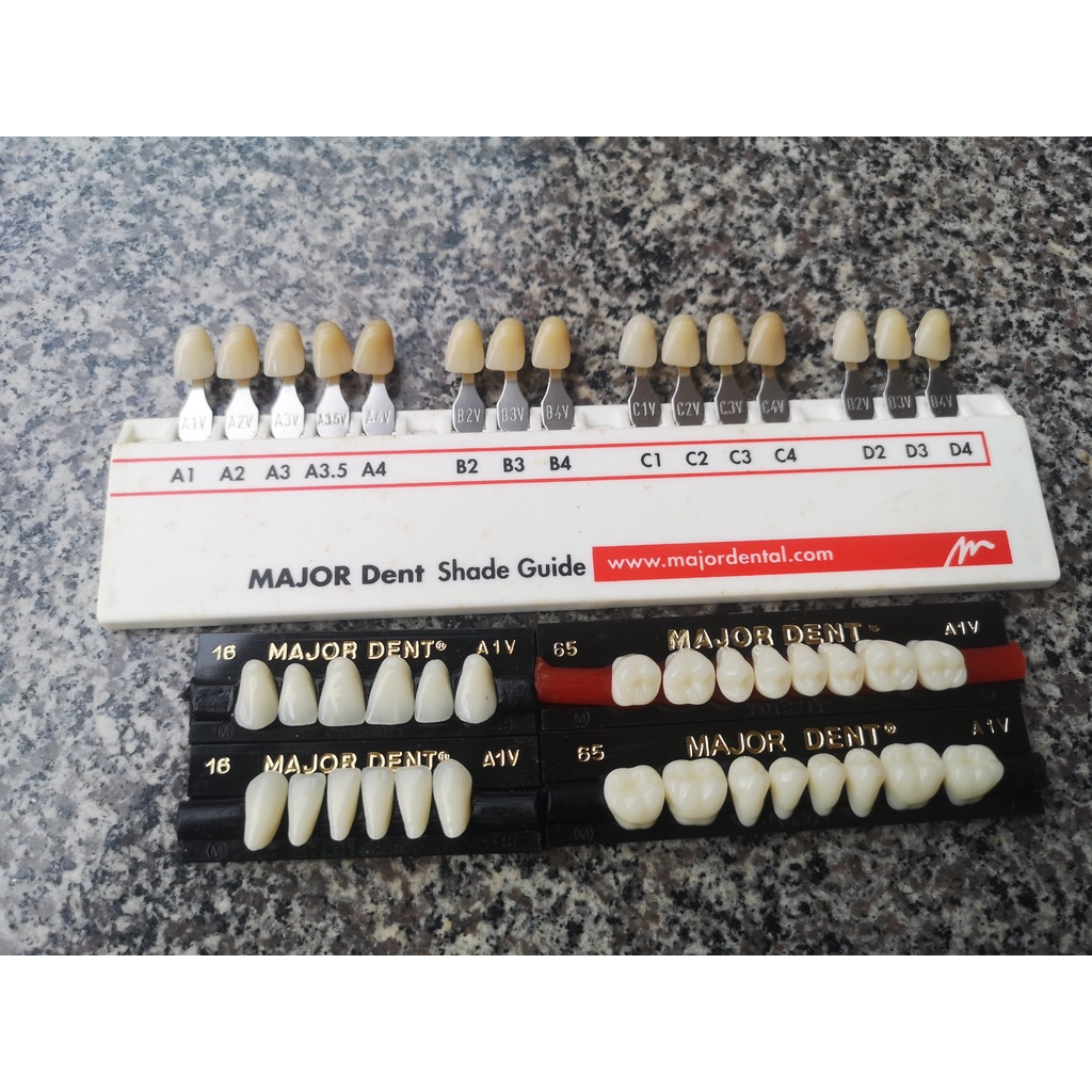 Răng nhựa giả tháo lắp màu A1 siêu cứng 3 lớp Major Dent Italy Artificial Teeth