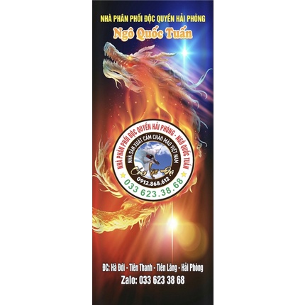 Win đấu trường cám lão đại