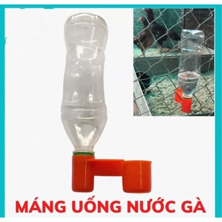 Cóng nước c2 cho gà, chim 10 cái