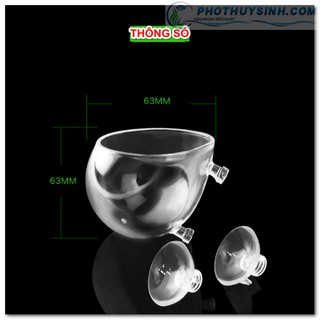 Cốc trồng cây