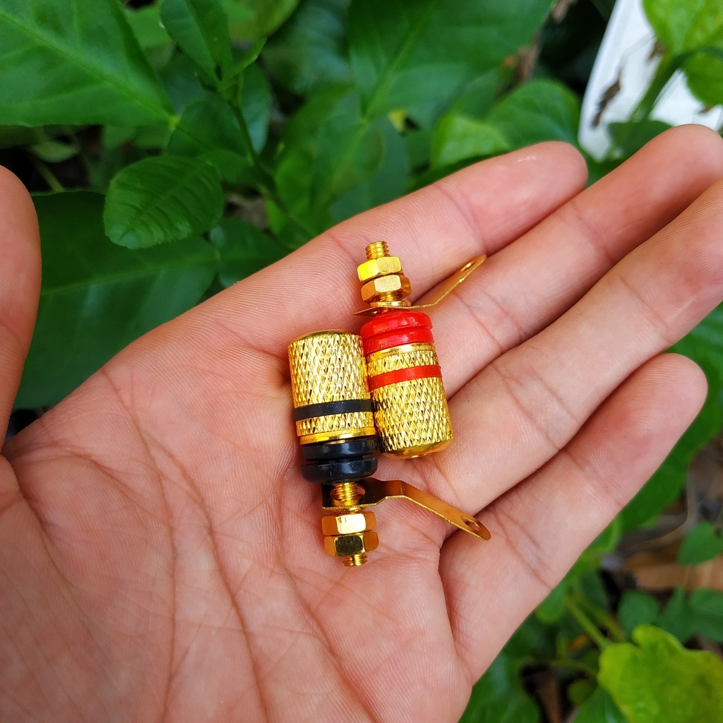 ✅  ⚡ Jack Bắp Chuối Mạ Vàng  4mm