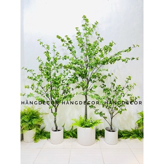 Cây cẩm thạch nam giả trang trí nhà cửa 130cm hằng decor