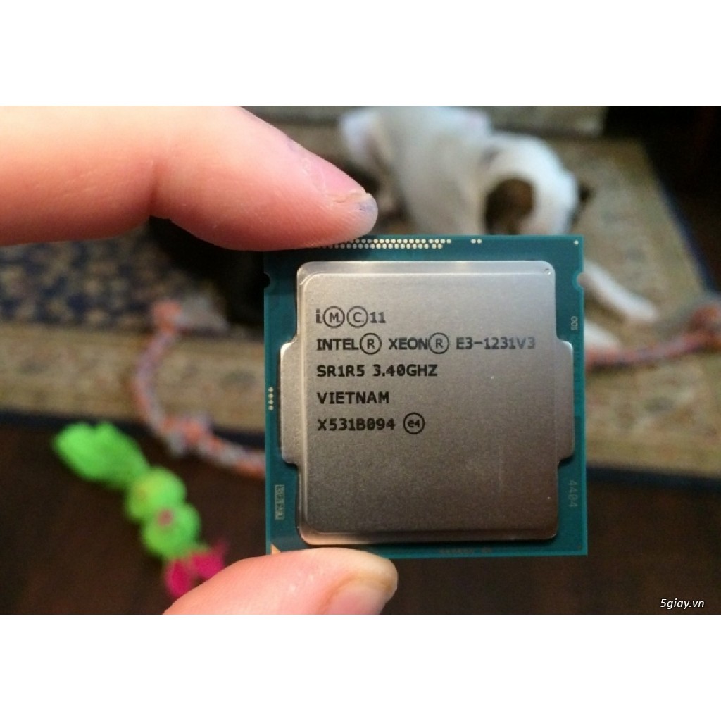 CPU Xeon E3 1231 v3 hiệu năng tương i7 4770 sk1150