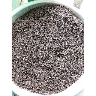 combo hạt tiêu đen (sỉ)