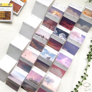 Set 4 sticker vintage film, hoa lá retro, bầu trời xanh, butterfly nhiều chủ đề và màu sắc trang trí đa dạng