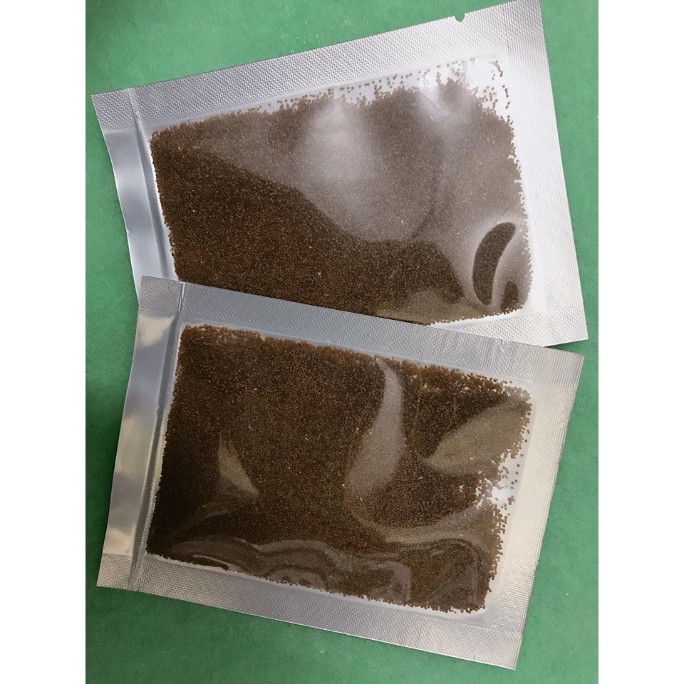 Hạt Giống Chân Châu Trồng Bể Thủy Sinh