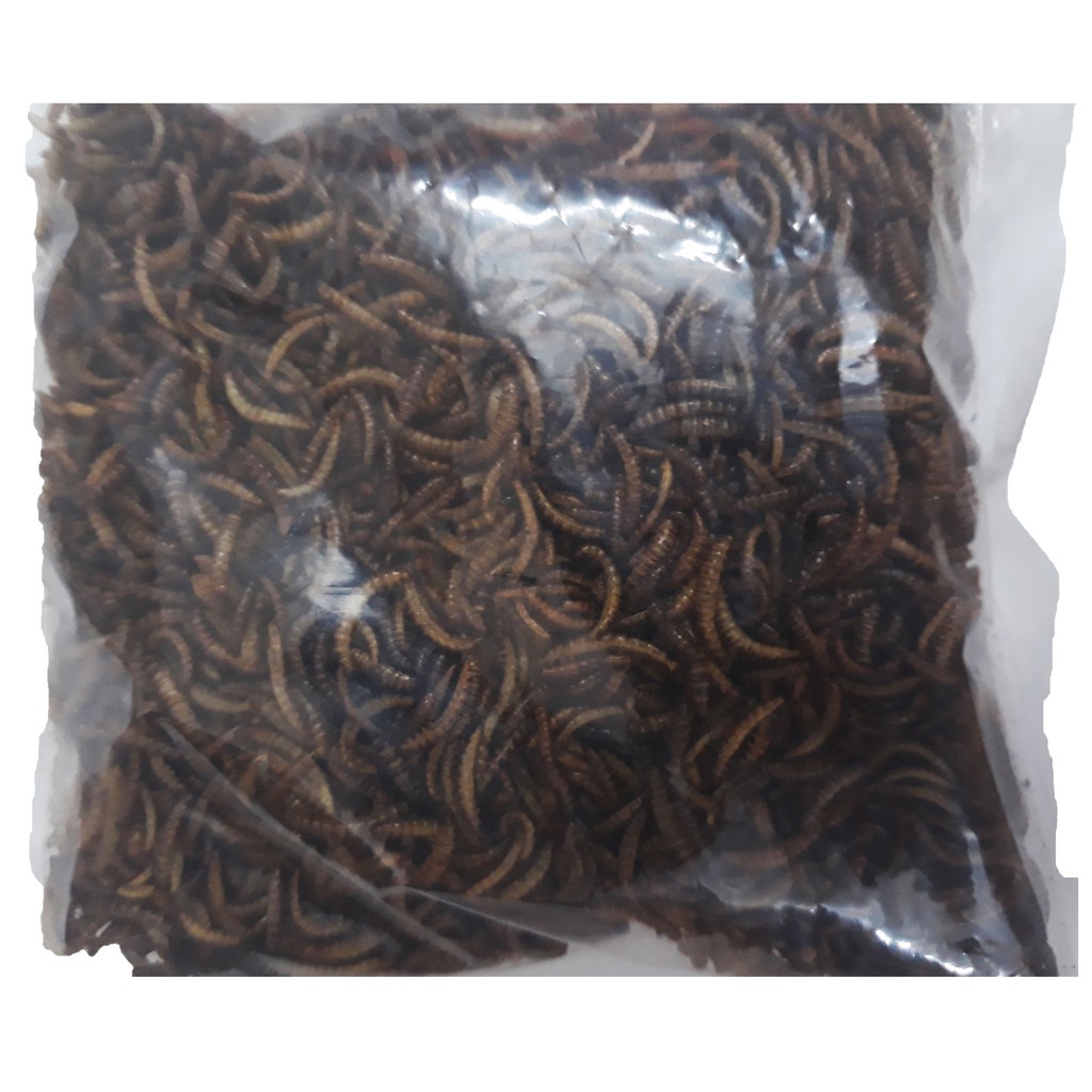 Sâu Khô Cho Chim, Hamster Ăn 25g - Sâu Khô Cho Gà, Trộn Chung Với Cám - Thức Ăn Chim, Hamster