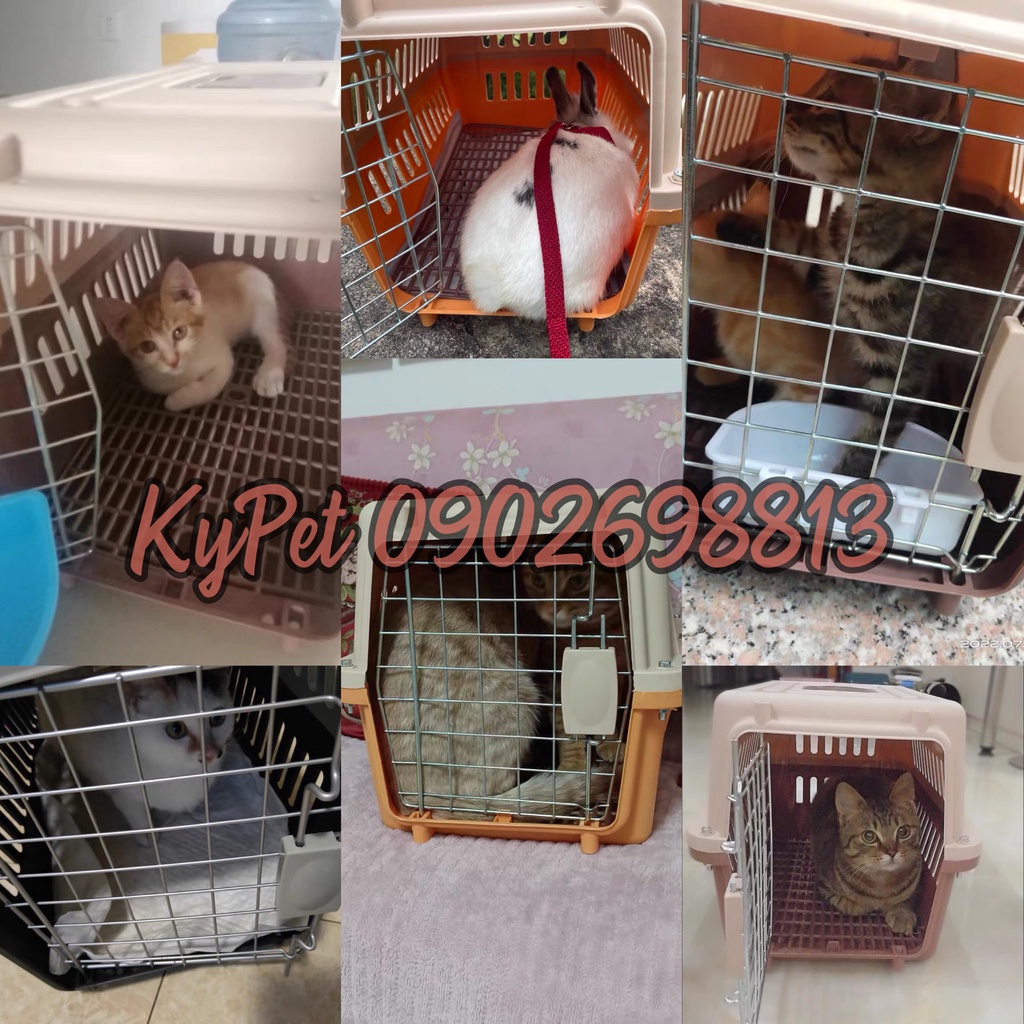 Lồng hàng không chó mèo tặng kèm tấm lót, Lồng vận chuyển chó mèo du lịch