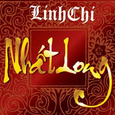 Trà Linh Chi Nhất Long - Hỗ trợ ổn định đường huyết, ổn định huyết áp, giảm mỡ máu (Hộp 30 gói)