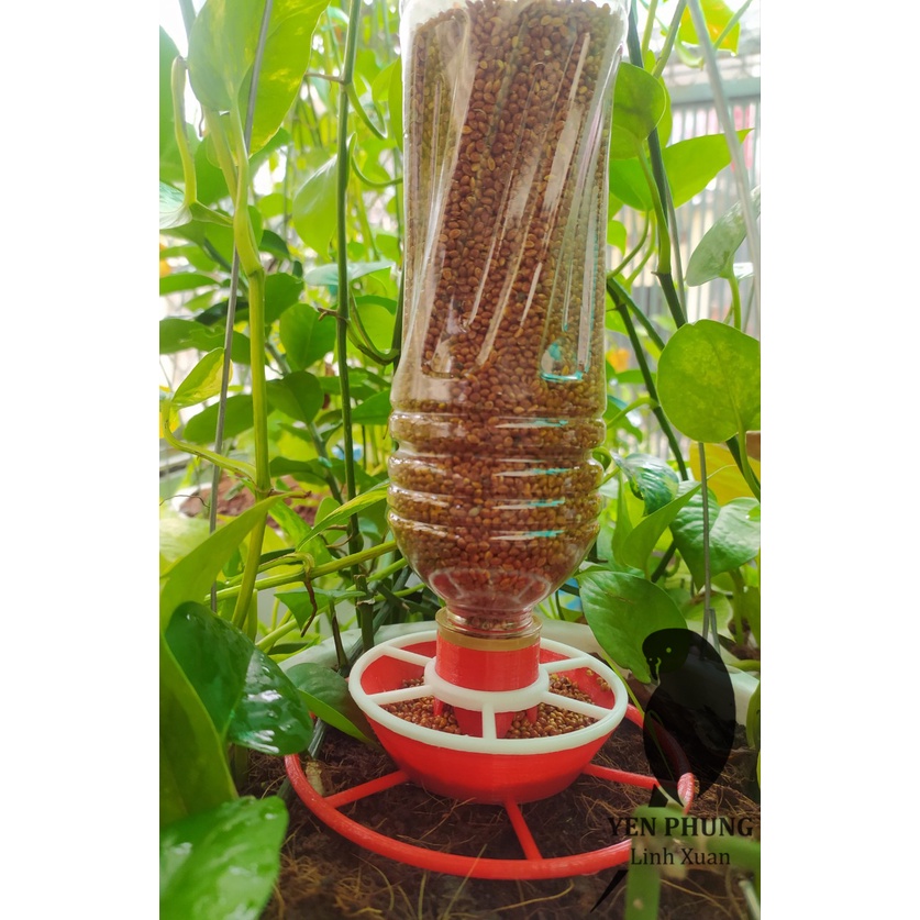 Máng ăn tự động tiện lợi cho chim, gà con