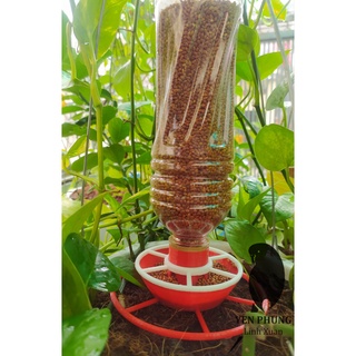 Máng ăn tự động tiện lợi cho chim cảnh vẹt chim cút gà rutin gà con,... 