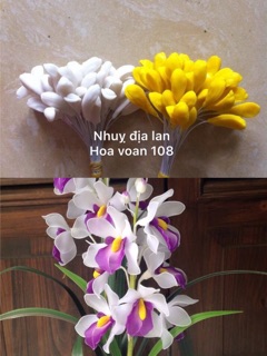 Nhuỵ lan (1 bó 22-25cái)