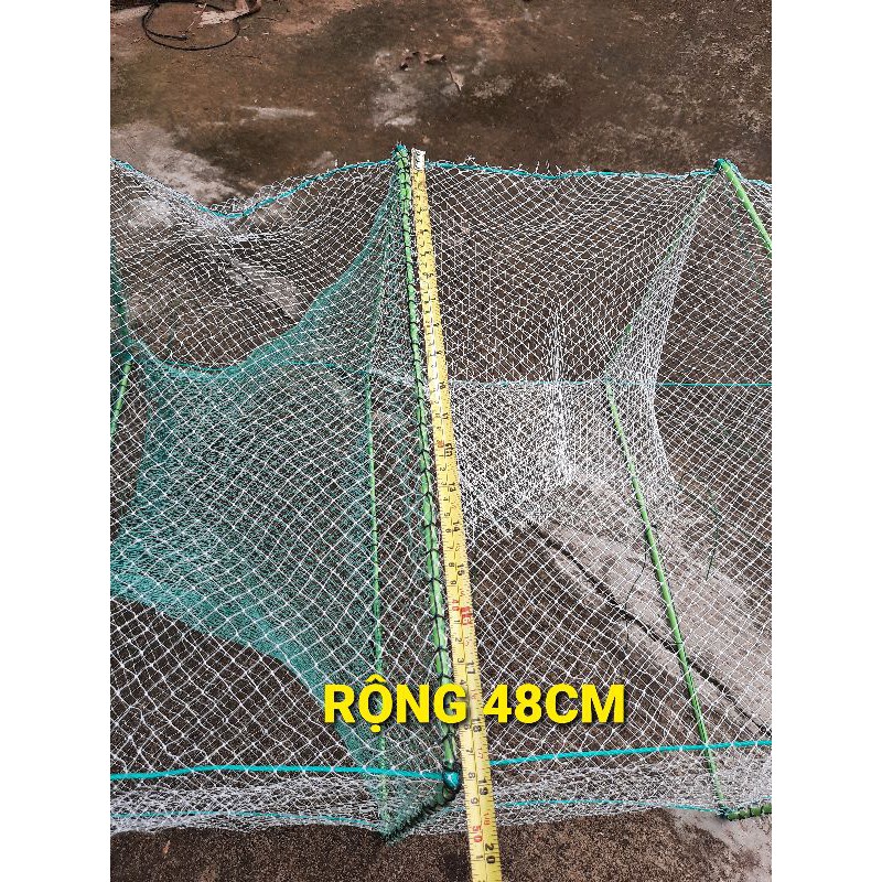 Bát quái khung - nhập khẩu israel