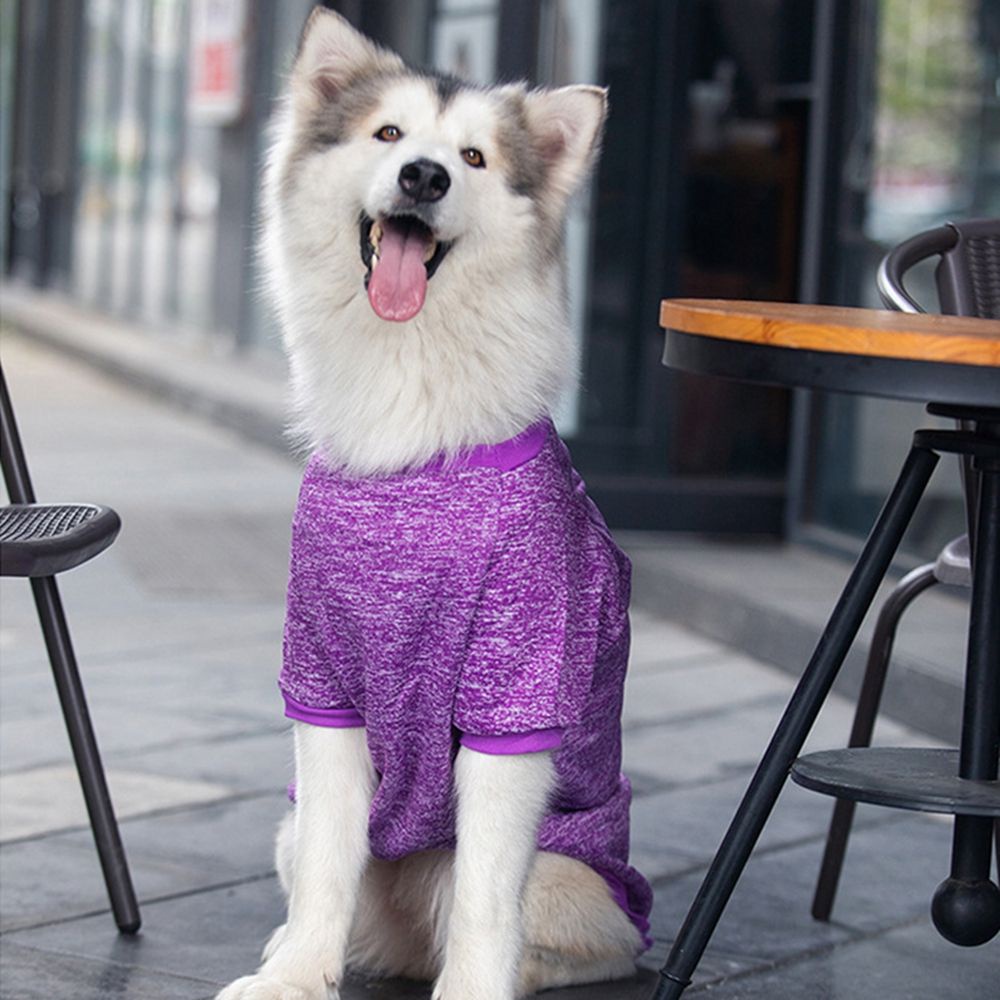 Áo khoác hoodie cỡ lớn màu trơn thiết kế đơn giản cho thú cưng