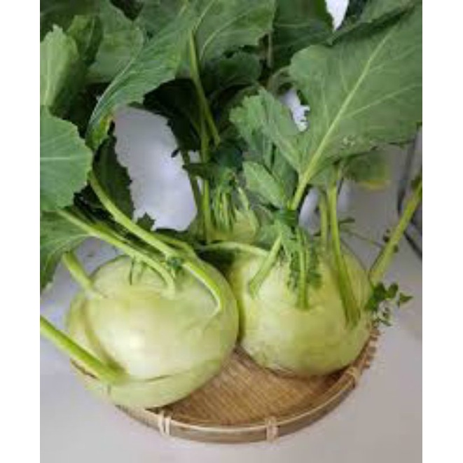 100G Xu Hào Khô Dạng Miếng Sấy Lạnh