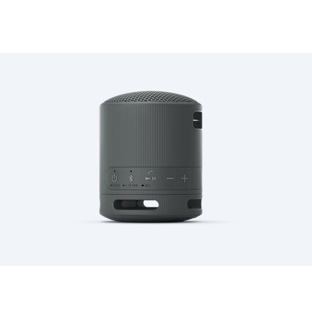 Loa Bluetooth Sony SRS-XB100 Extra Bass