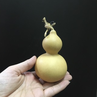 2 quả bầu hồ lô mộc cỡ nhí