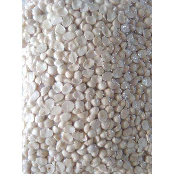 Nhân mắc ca sấy vỡ 2,3