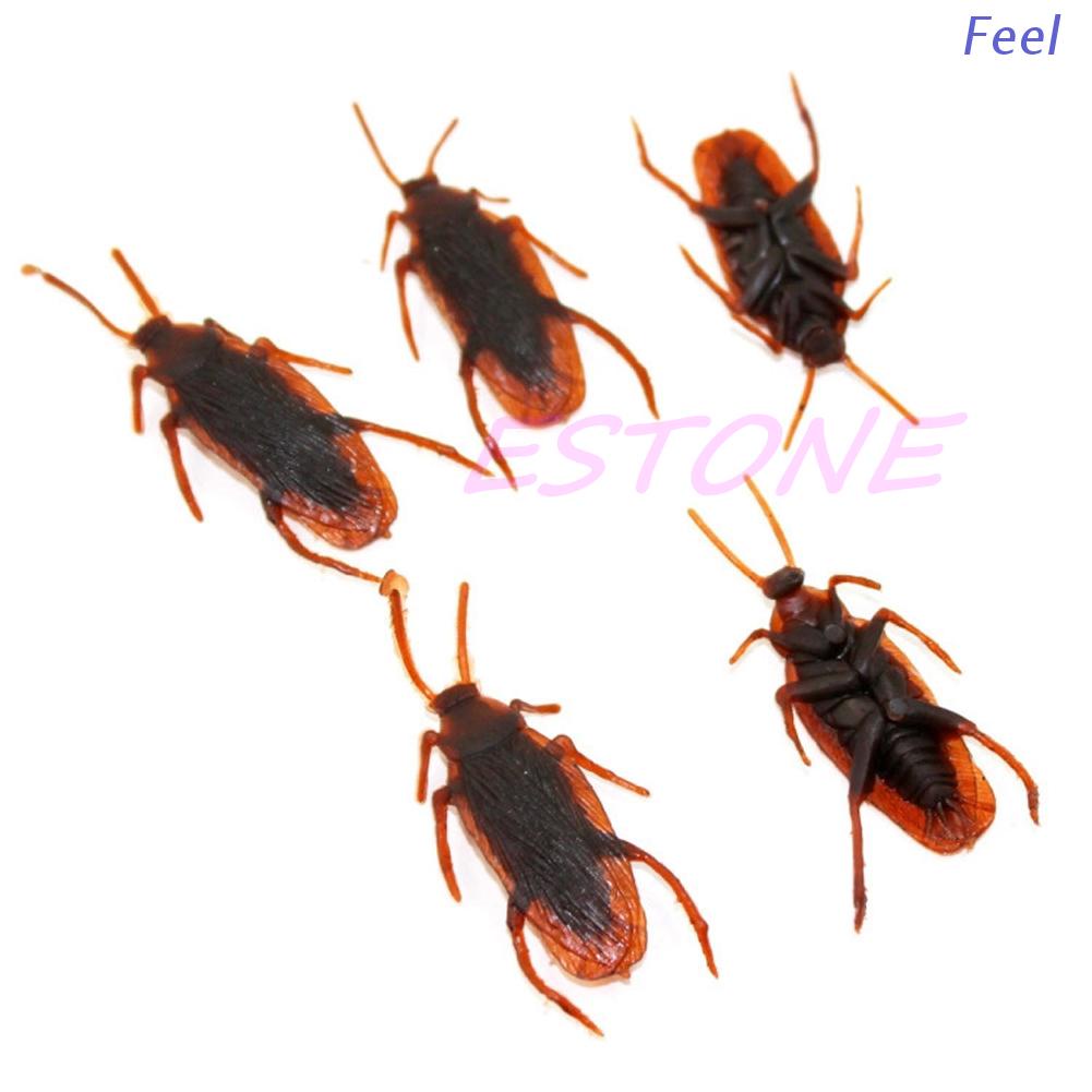 Đồ Chơi Hình Con Gián Giả Độc Đáo