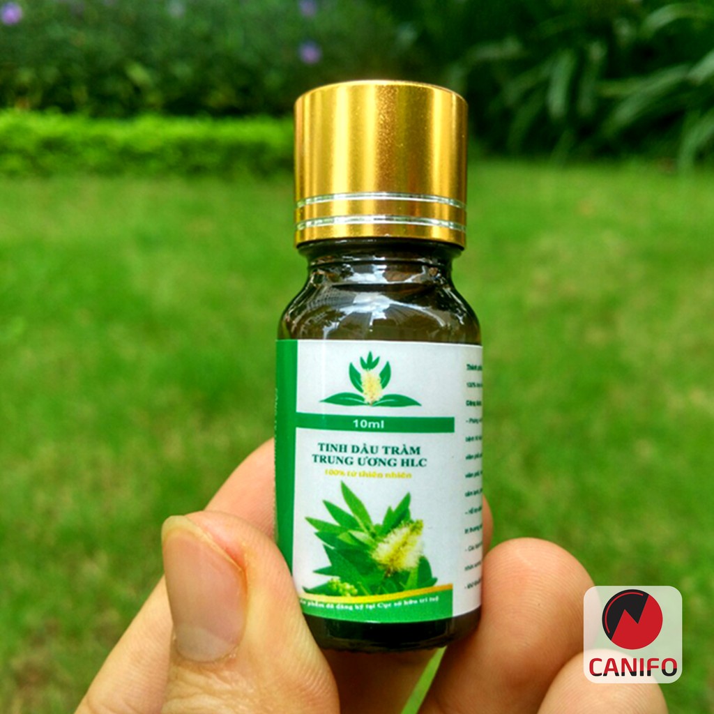 Tinh dầu TRÀM GIÓ CANIFO 10ml - HÀNG CÔNG TY NHẬP KHẨU ẤN ĐỘ CÓ KIỂM ĐỊNH - Tinh dầu tràm gió thiên nhiên