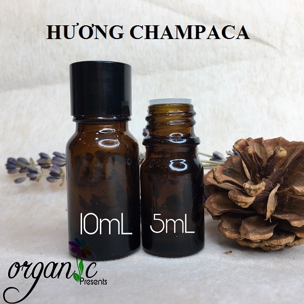 HƯƠNG CHAMPACA