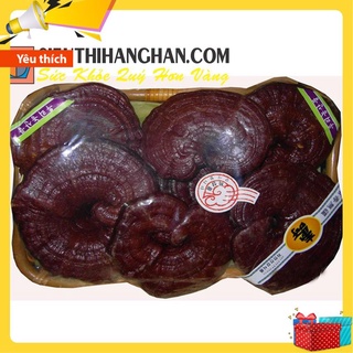 Nấm linh chi Đỏ dạng khay HÀN QUỐC [ Nấm Linh Chi _ Quà Tặng Cao Cấp ]