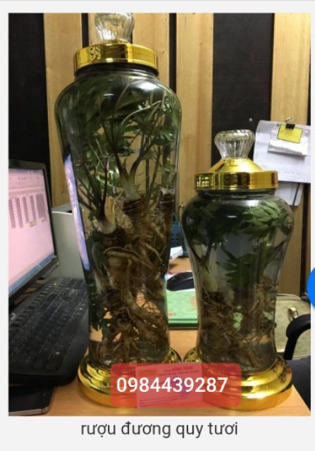 SÂM ĐƯƠNG QUY- SÂM CỦA NGƯỜI VIỆT- THƠM NGON MÁT BỔ