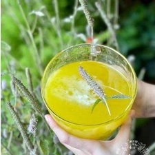 Mật Ong Bạc Hà 100% Nguyên Chất Chai 1L(1,5kg)-Mật ong tự nhiên tốt cho sức khỏe [Tặng Nấm Xích Chi]-Trà Sữa CRICKET