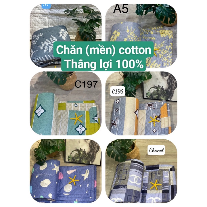 Chăn ( mền) cotton 100% Thắng lợi chính hãng mềm, mát, mịn, không xù lông, không phai màu ( ảnh shop tự chụp )