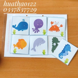 Học liệu cho bé – matching tìm bóng ghép hình- động vật biển