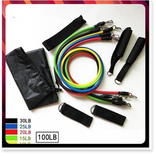 💥XẢ💥Bộ dây kéo 11 chi tiết tập thể dục, hệ thống bài tập đa dạng, bộ 5 dây ngũ sắc tập gym 6031