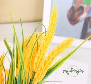 Cây giả - cây lúa mạch nhựa PVC