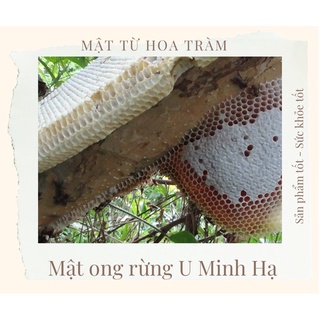 Mật ong rừng U Minh Hạ 500ml