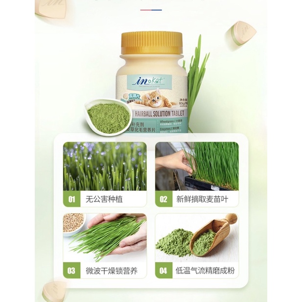 Vitamin InKat giúp tiêu búi lông cho mèo với chiết xuất cỏ lúa mì Surica IN03 (120v)