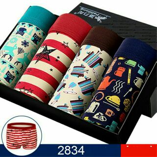 Set 4 quần lót boxer nam cao cấp