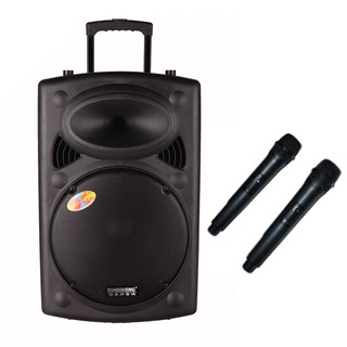 Loa kéo temeisheng dp-2305l