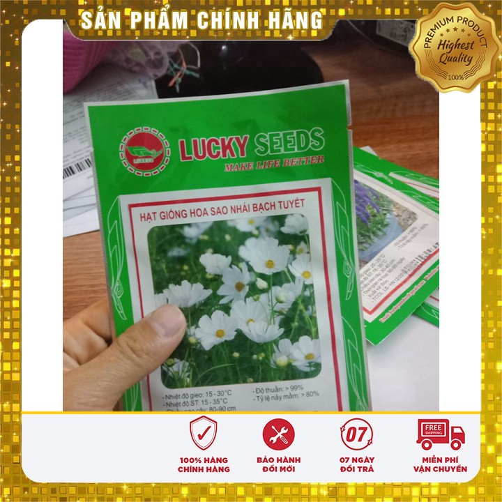 Hạt giống hoa sao nhái bạch tuyết LUCKY SEEDS