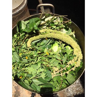 Sữa tắm thảo dược