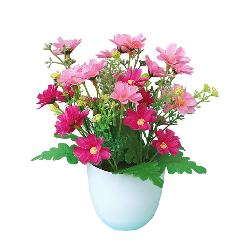 Chậu hoa cúc họa mi chất lụa nhiều màu sống động trang trí đa năng