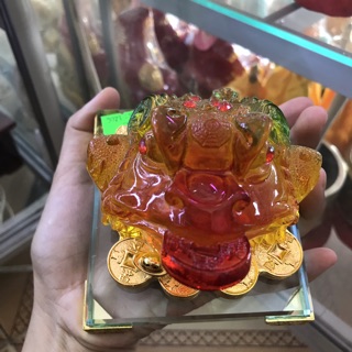 Ông cóc ngậm tiền