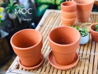 Chậu Đất Nung Ly Gờ 15cm